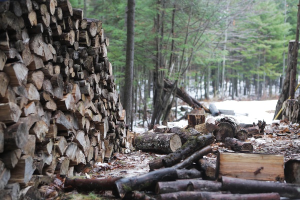 Lumber Yard