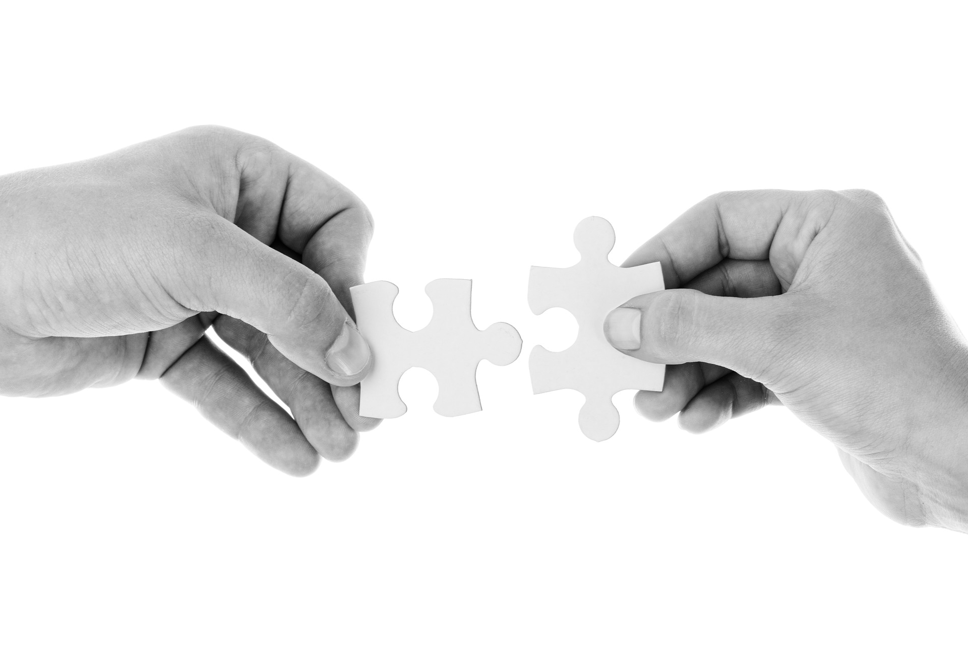 puzzle piece