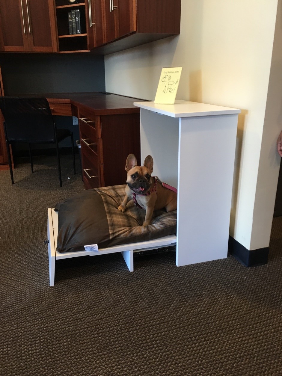 Dog on Wilding Wallbed Dog Bed