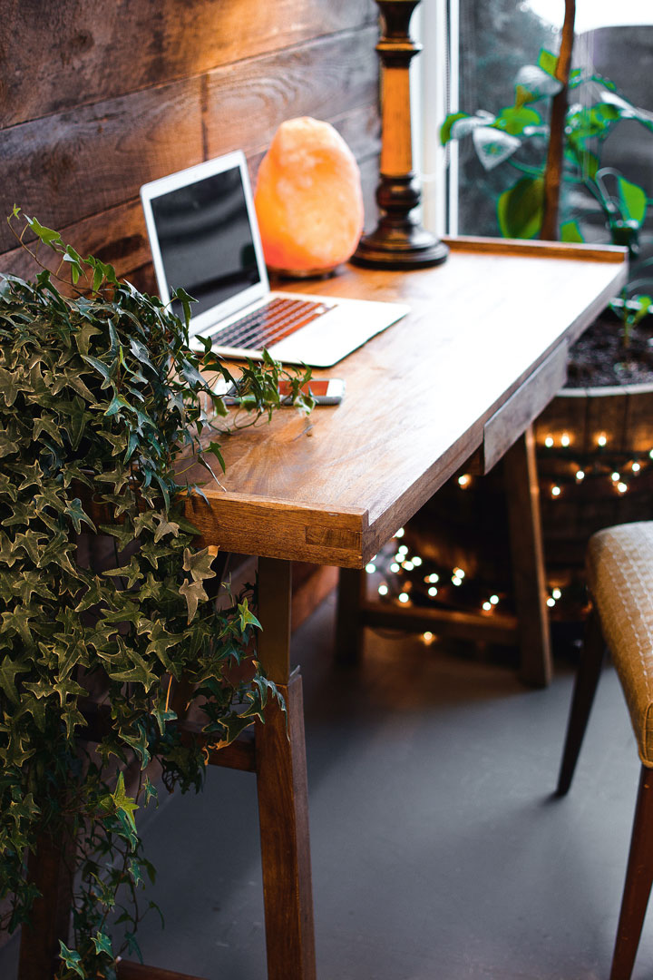 decorate your office with plants